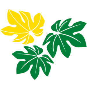 Madhur Pharma & Reseach Laboratories